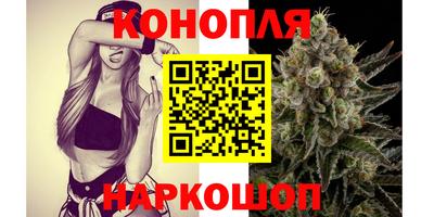 гидропоника Будённовск