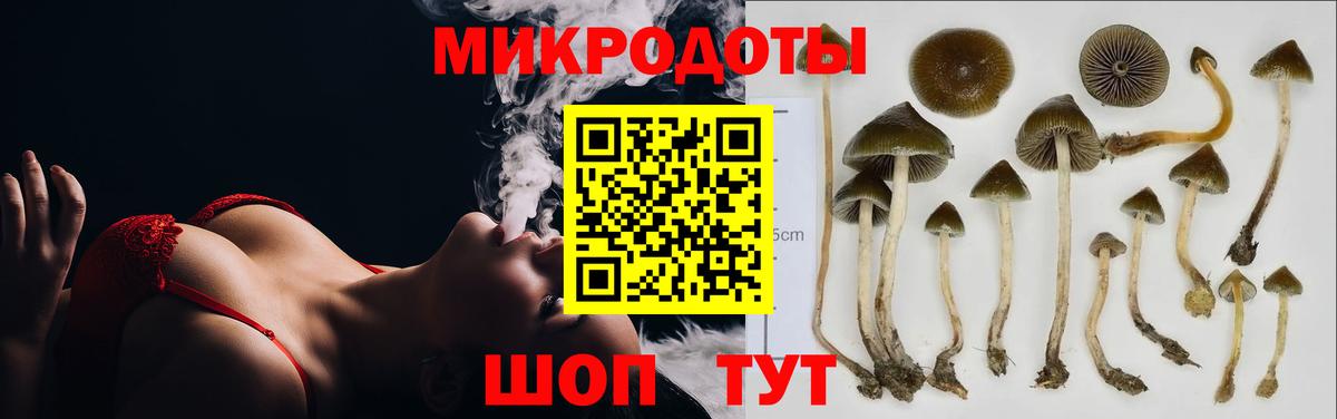 Галлюциногенные грибы прущие грибы  Вход с VPN  Галлюциногенные грибы прущие грибы  Геленджик 